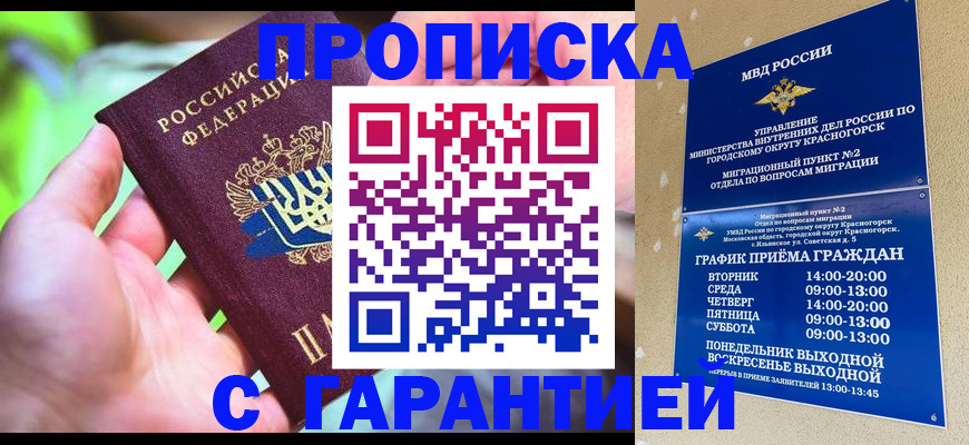 временная регистрация 2025 в Палласовке